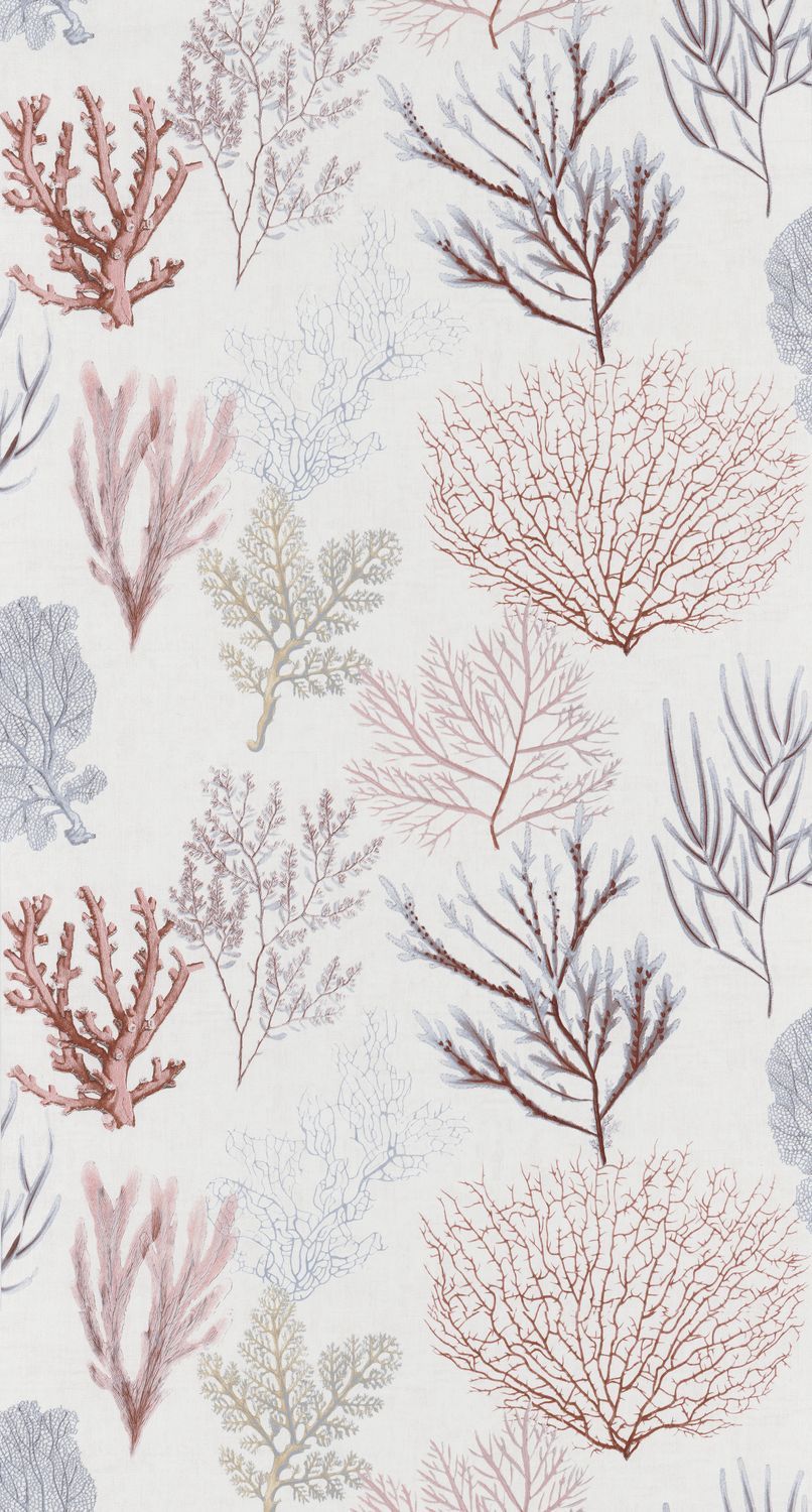 CORAIL Wallpaper