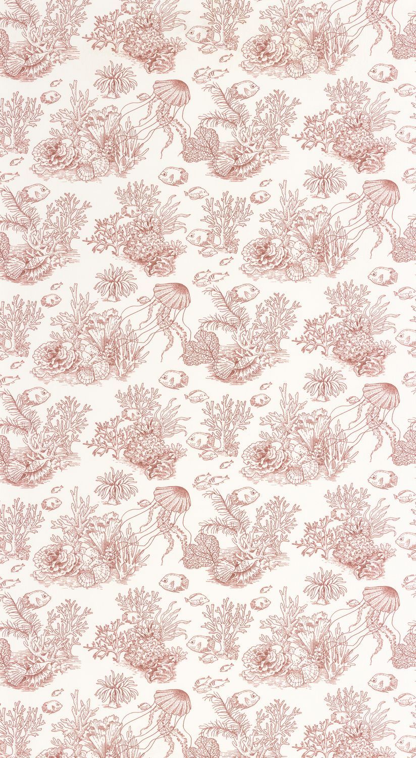 CÔTE SAUVAGE Wallpaper