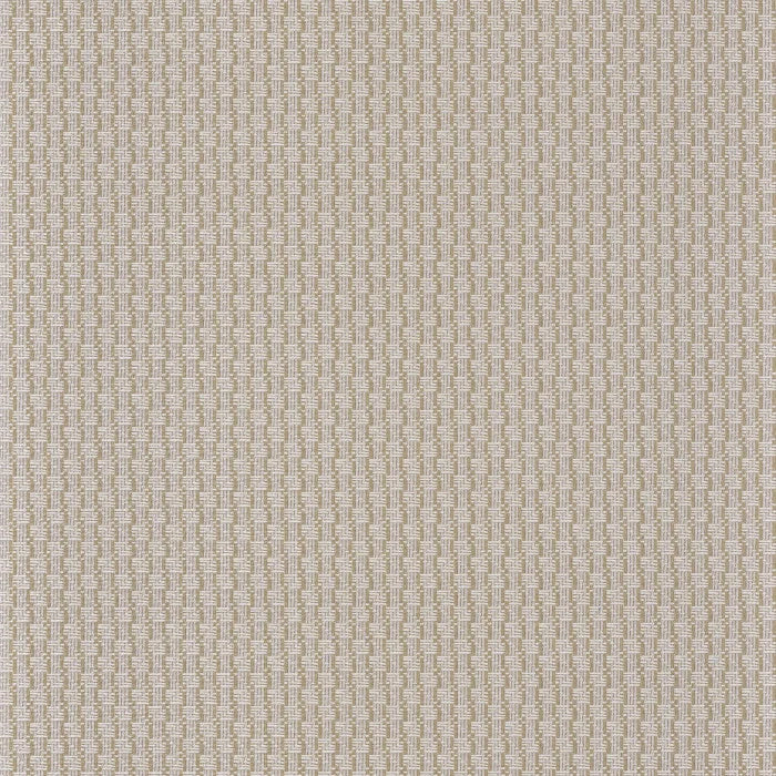 TRENZA Wallpaper
