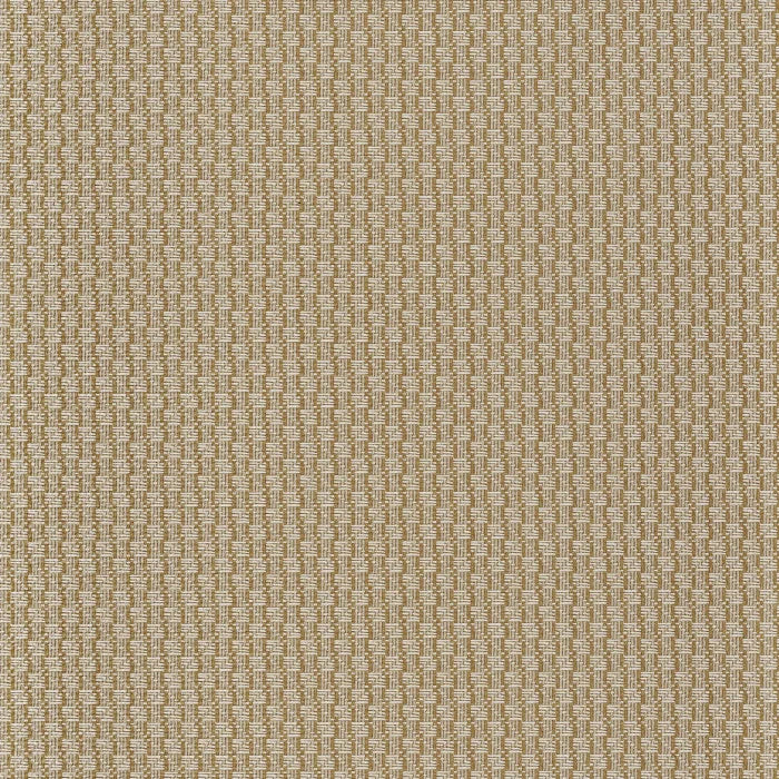 TRENZA Wallpaper