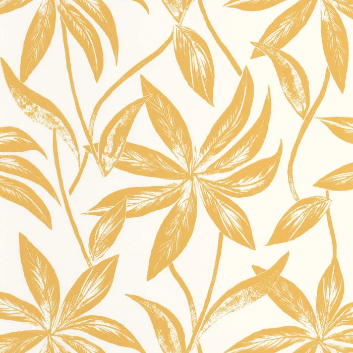 PARADISIO Wallpaper