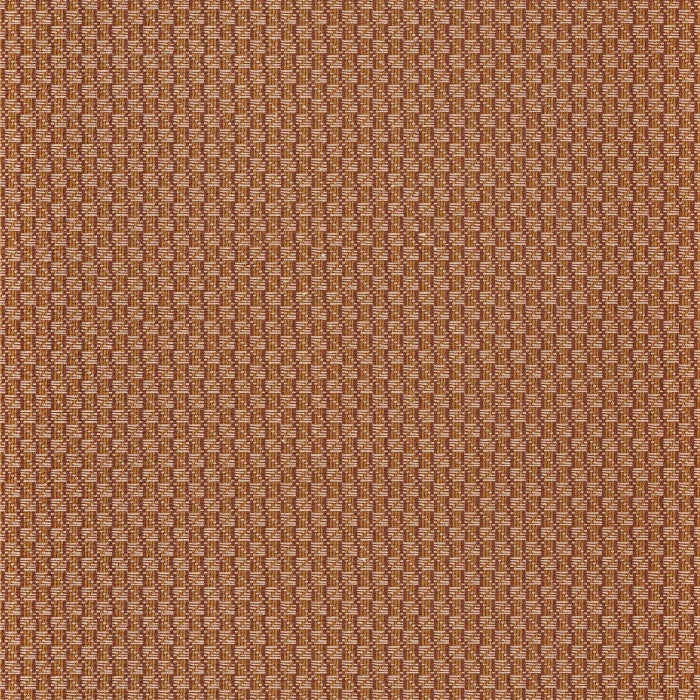 TRENZA Wallpaper