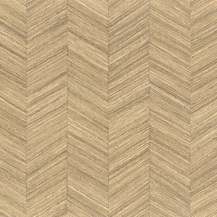 OCOTEA Wallpaper