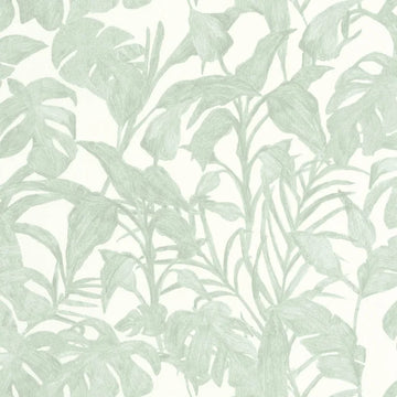 Seagreen