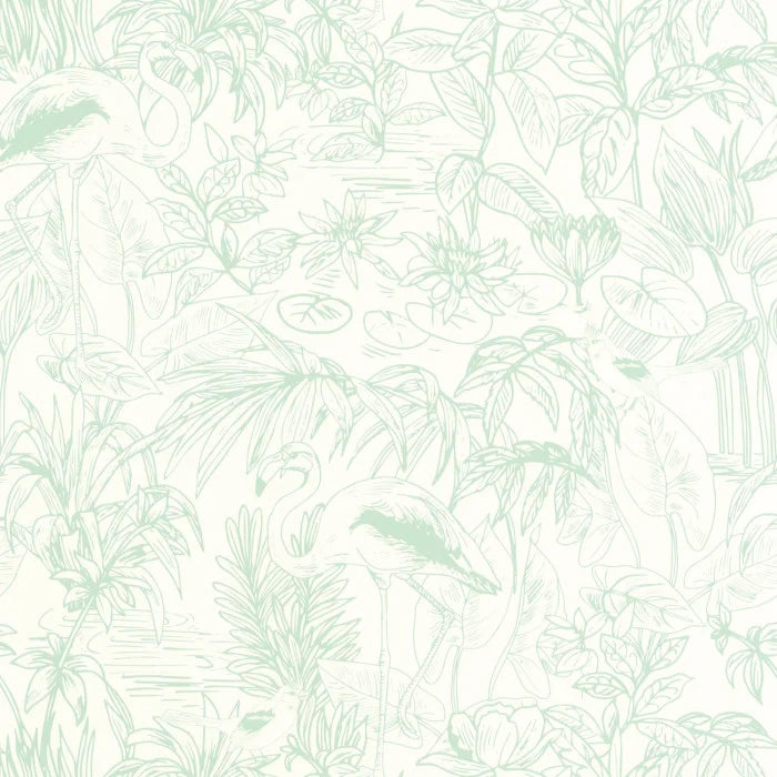 LE CAP Wallpaper