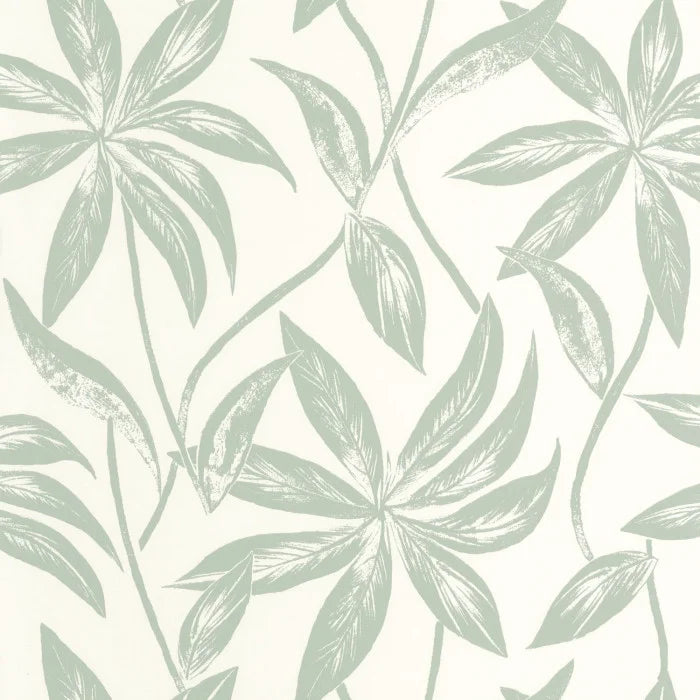 PARADISIO Wallpaper