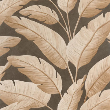 Sepia Black