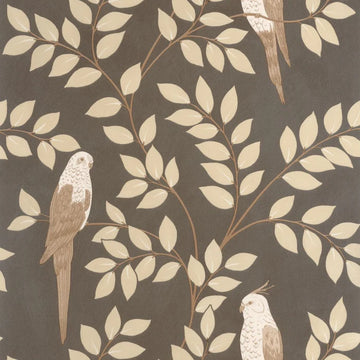 Sepia Black