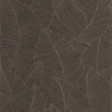 Sepia Black