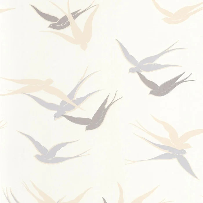 SWALLOW Wallpaper