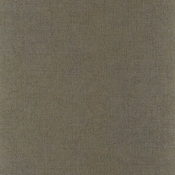 Steel