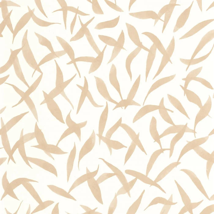 CLOS DES OLIVIERS Wallpaper
