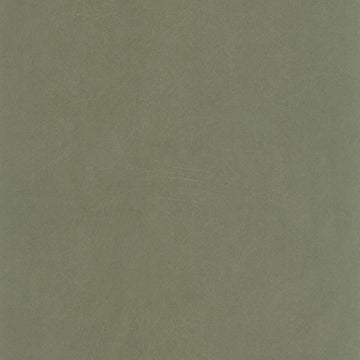 Taiga Green