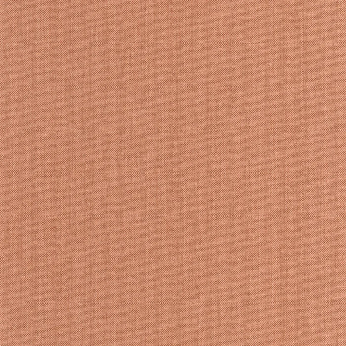 UNI NATTE Wallpaper