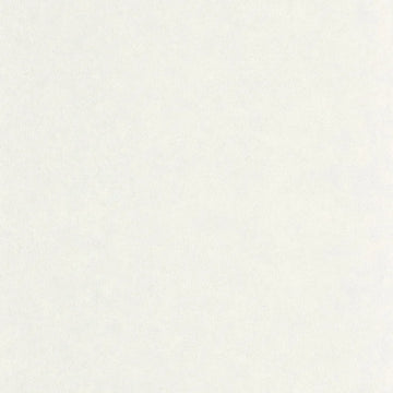 Tin Gray