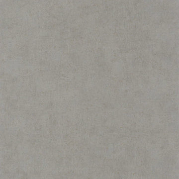 Tin Gray