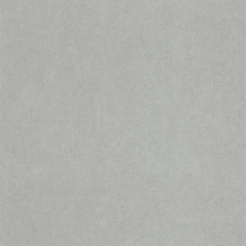 Tin Grey