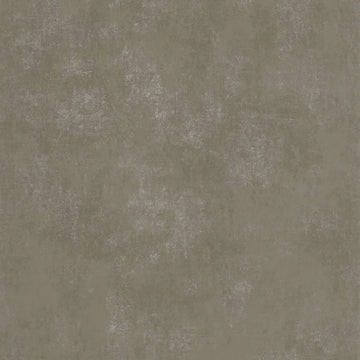 Truffle