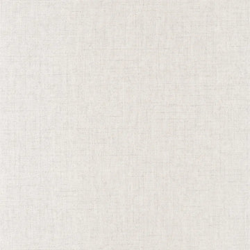 Turtledove Gray