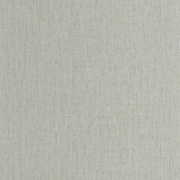 Turtledove Gray