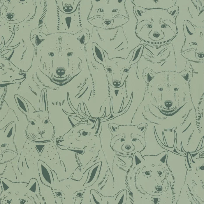 S 'AMUSER Wallpaper