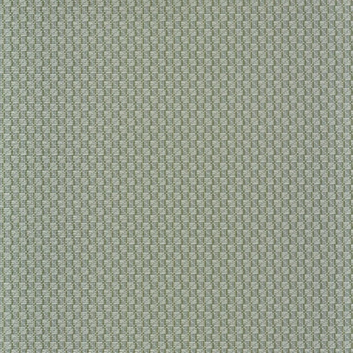 TRENZA Wallpaper