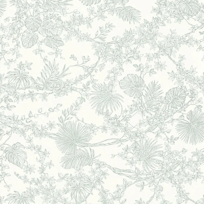 JARDIN DES PLANTES Wallpaper