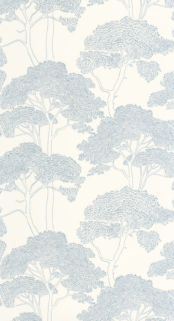 Azure Blue White