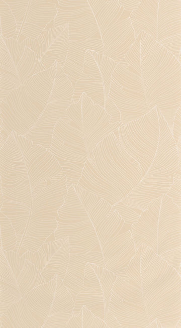 White/Beige