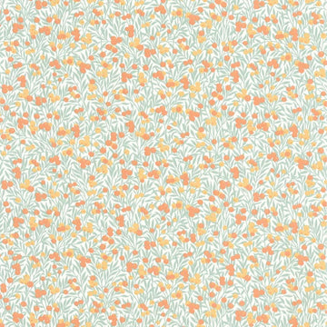 White/Coral