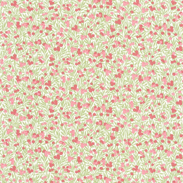 White/Pink