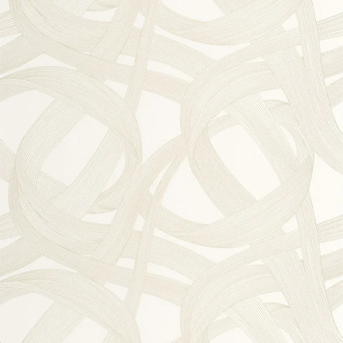 SHIMMY Wallpaper