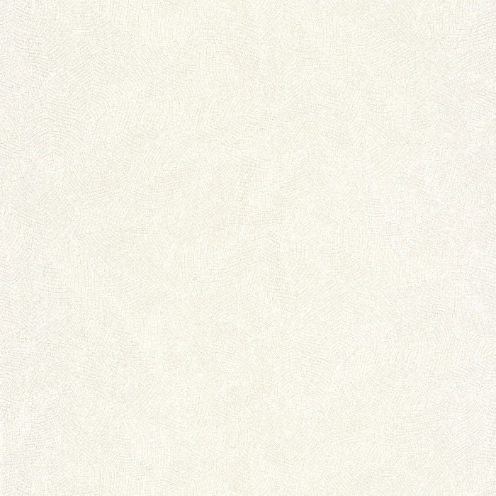MASAYA Wallpaper