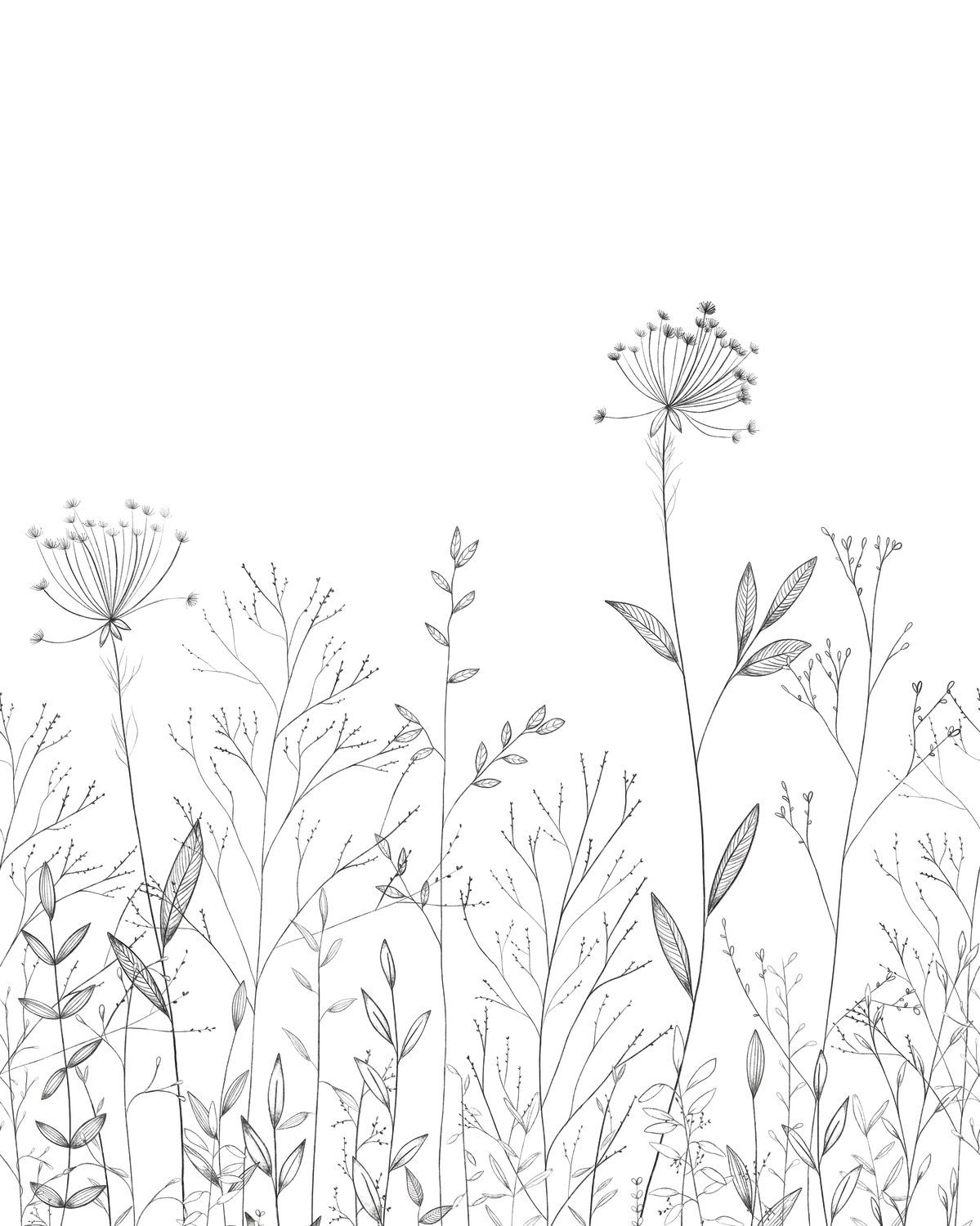 FIELD LINE Wallpanel
