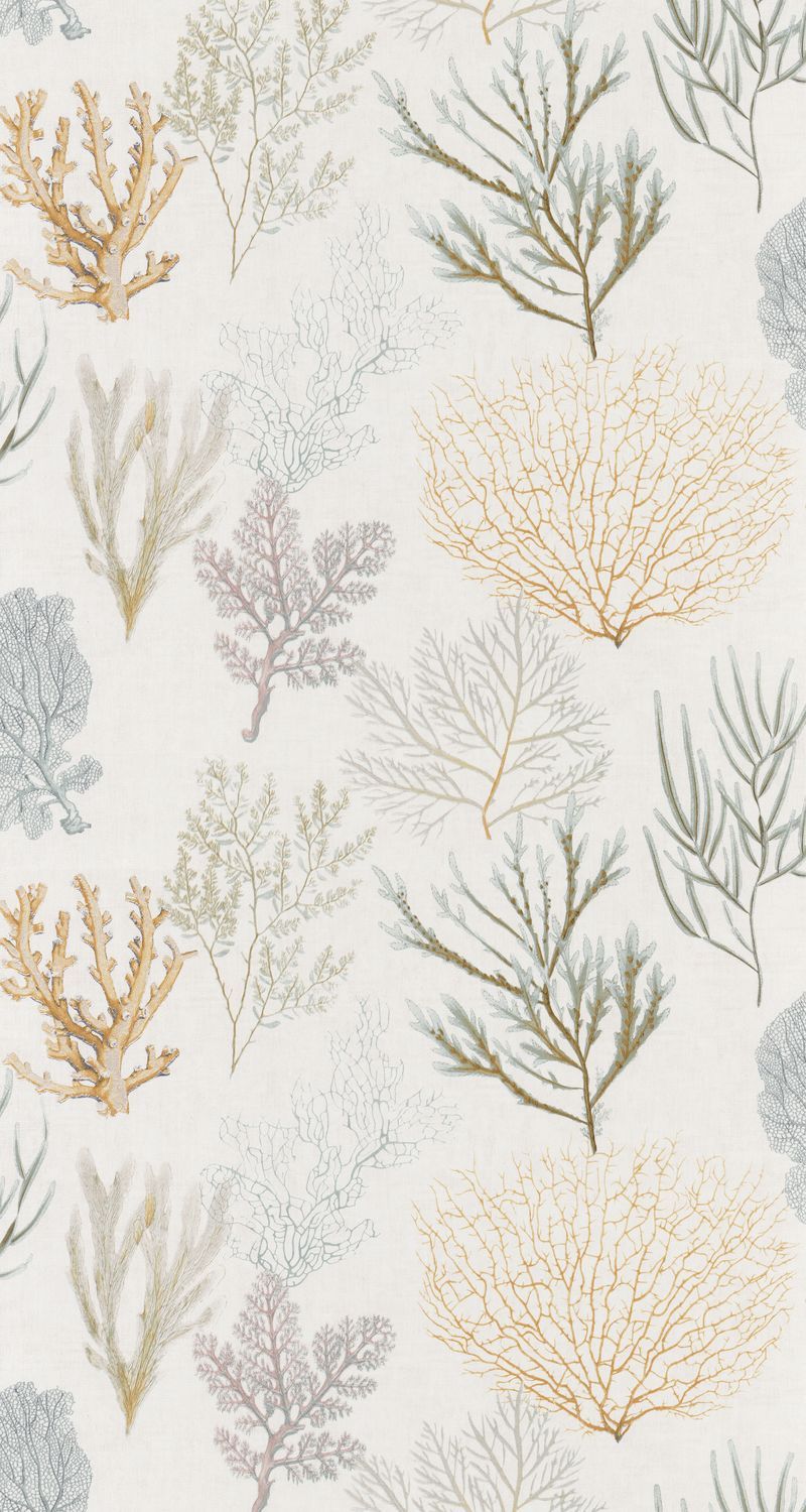 CORAIL Wallpaper