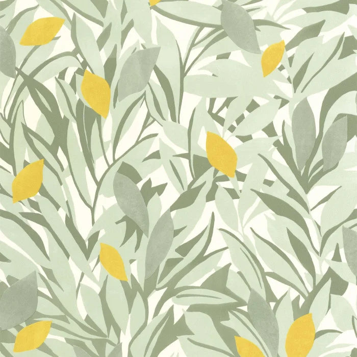 CASSIS Wallpaper