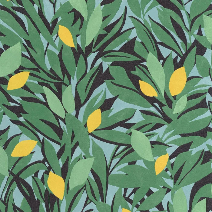 CASSIS Wallpaper