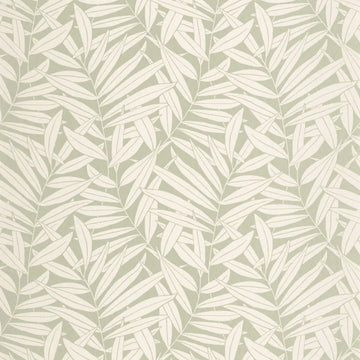Almond Green