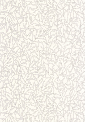 White Cotton