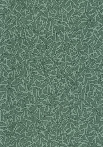 Canopy Green