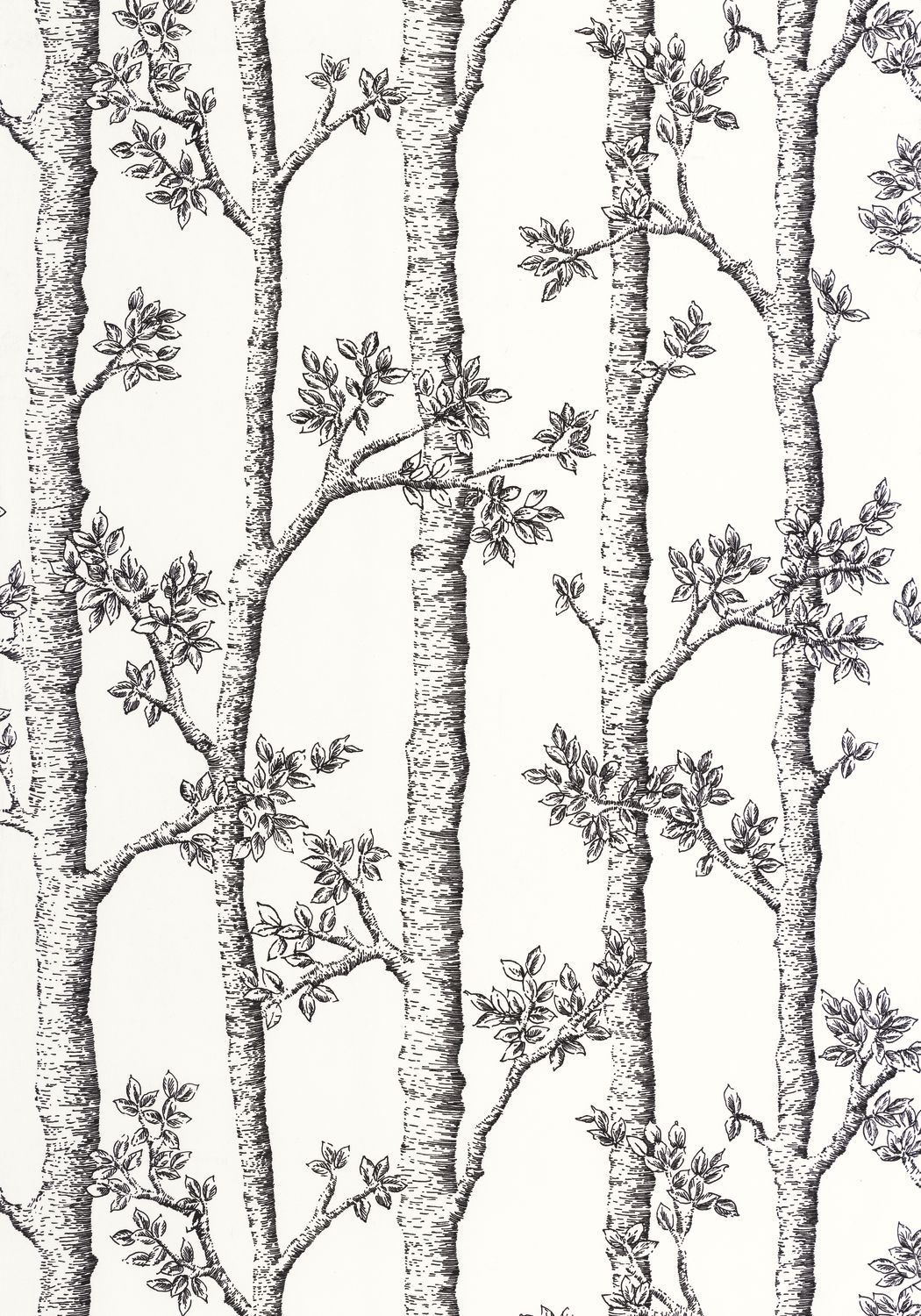 AUTOMNE Wallpaper