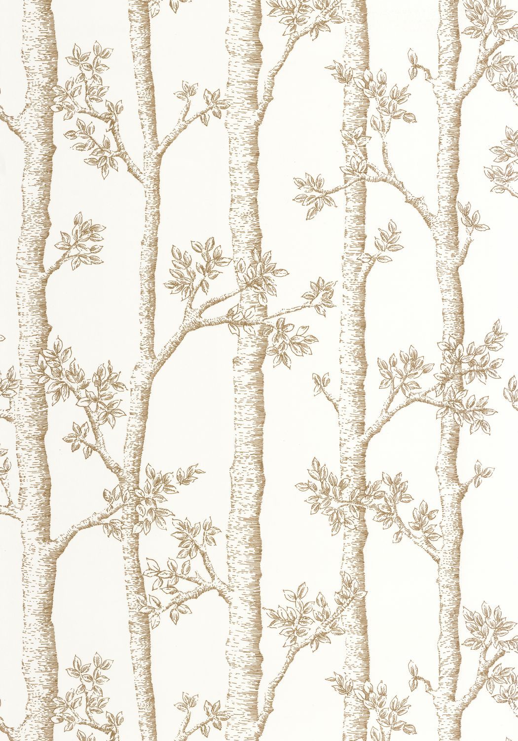 AUTOMNE Wallpaper