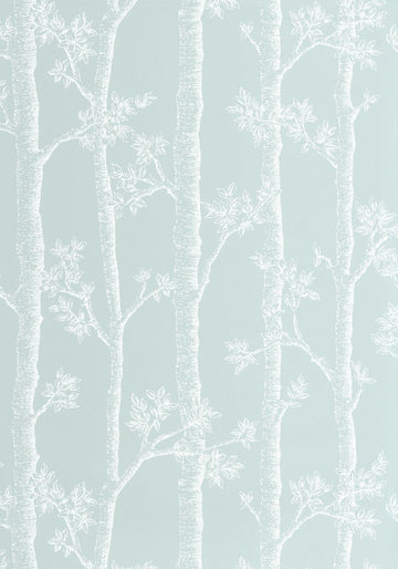 Soft Blue