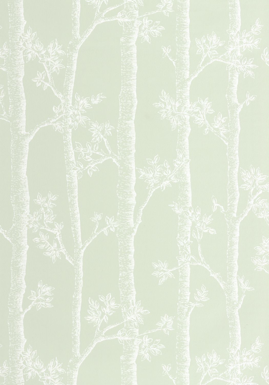 AUTOMNE Wallpaper