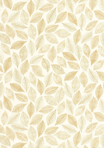 White/Gold