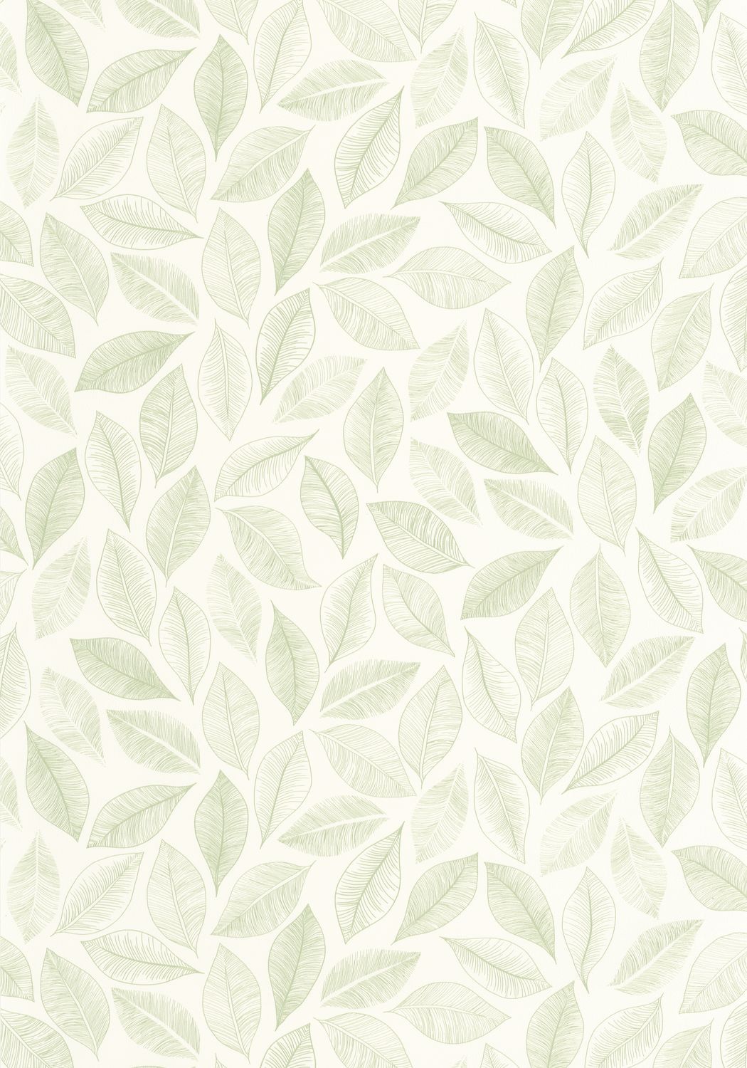 BLISS Wallpaper