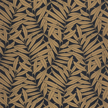 Black/Golden Brown