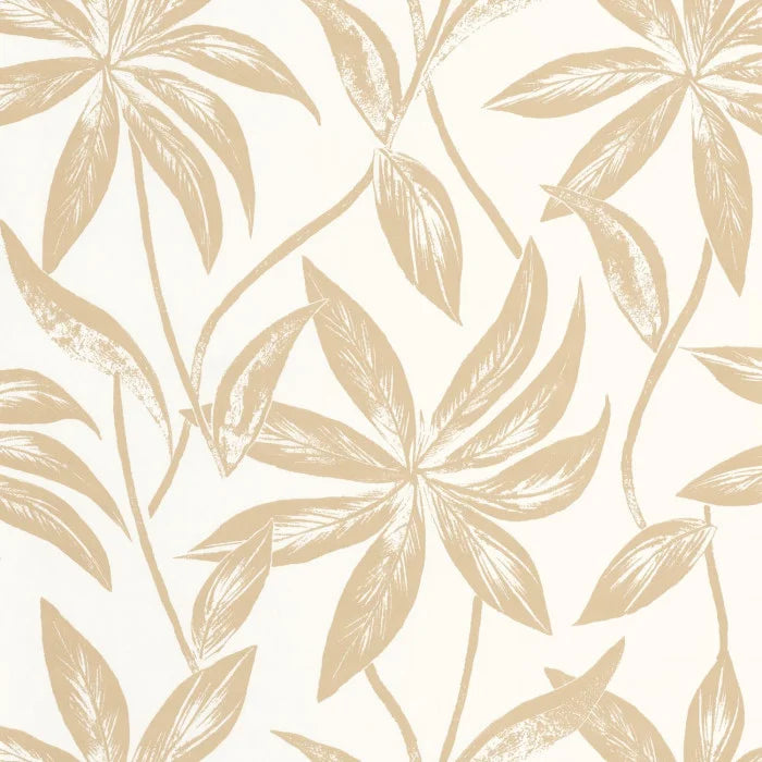 PARADISIO Wallpaper