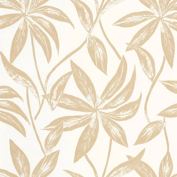 Iridescent Beige White