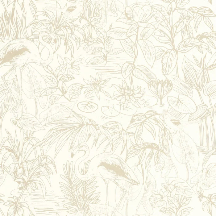 LE CAP Wallpaper